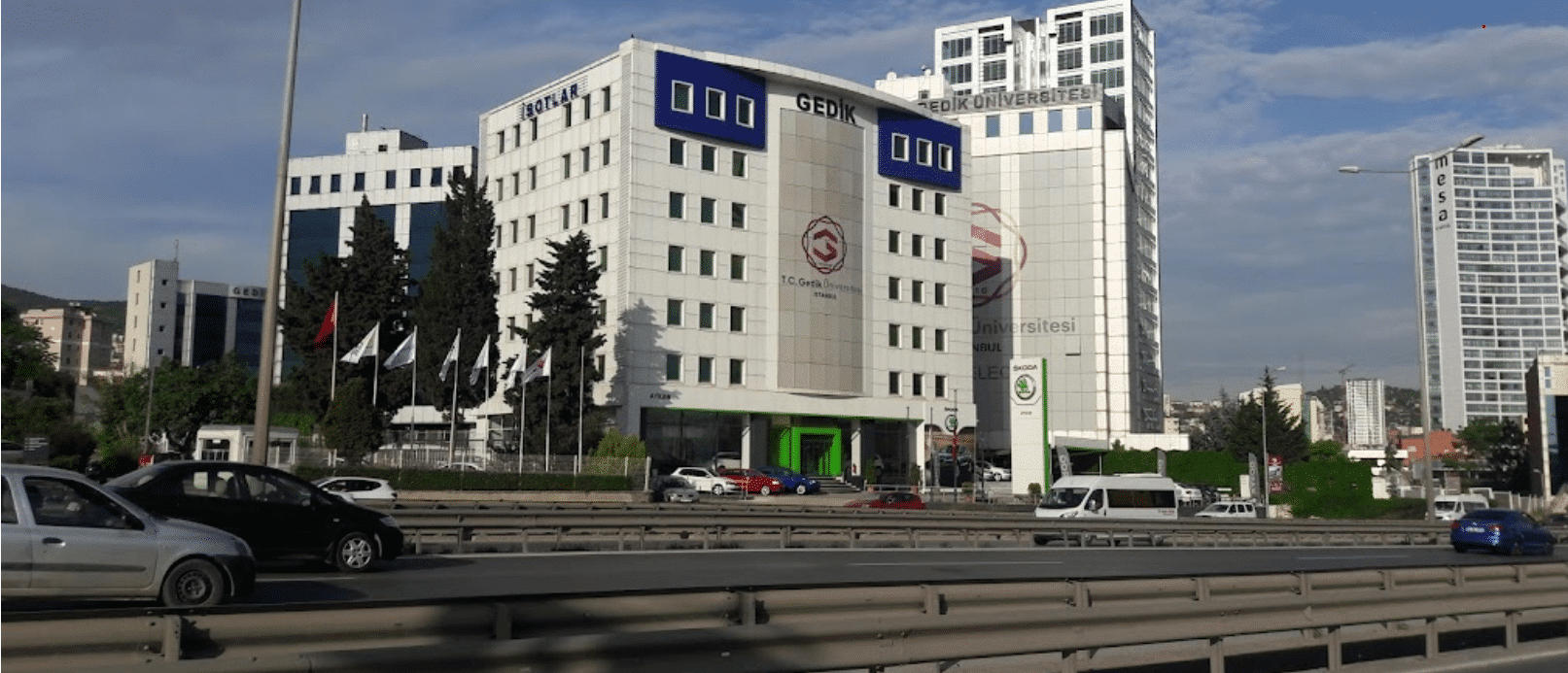Gedik University