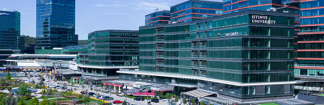 Istinye University